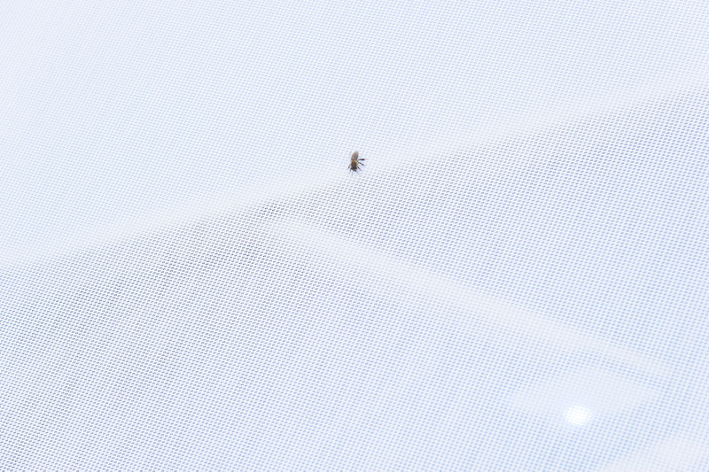 start1__DSC9855.jpg